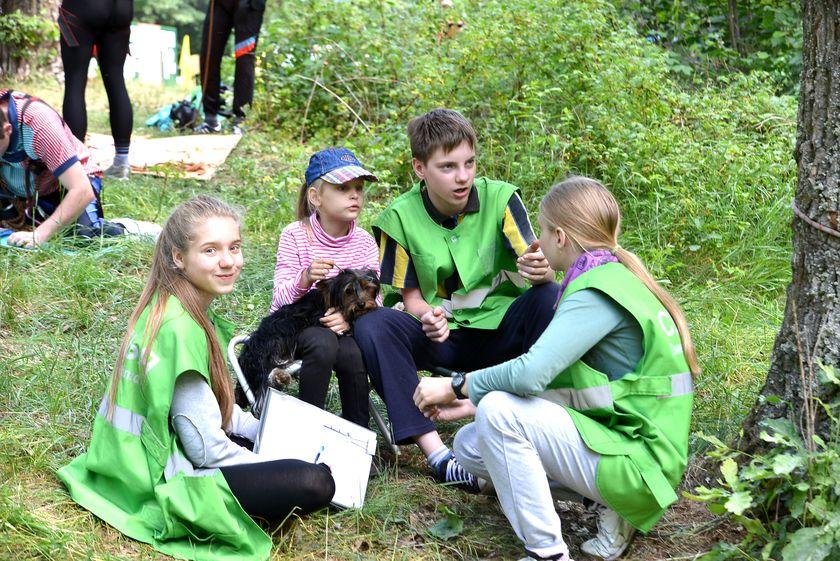 v-les-za-otkryti…pastu-dlya-slona1