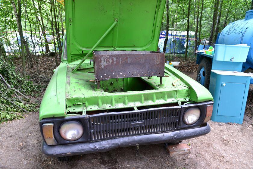 v-les-za-otkryti…pastu-dlya-slona11