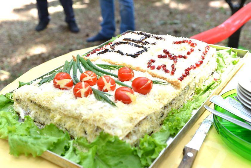 v-les-za-otkryti…pastu-dlya-slona16