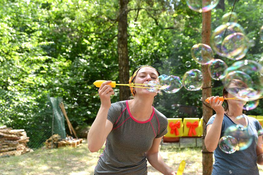 v-les-za-otkryti…pastu-dlya-slona18