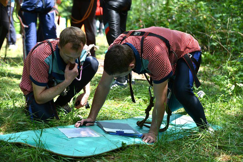 v-les-za-otkryti…pastu-dlya-slona2