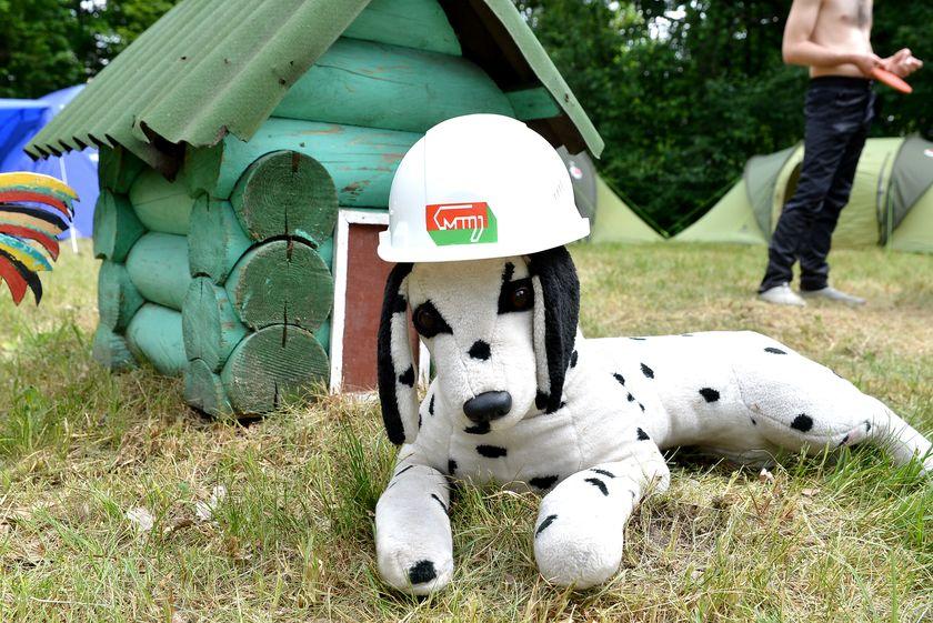 v-les-za-otkryti…pastu-dlya-slona23