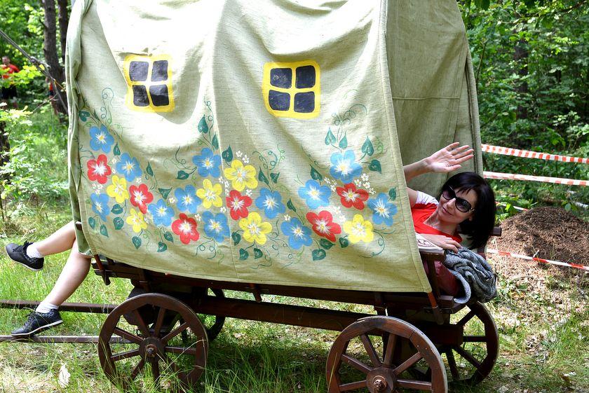 v-les-za-otkryti…pastu-dlya-slona28