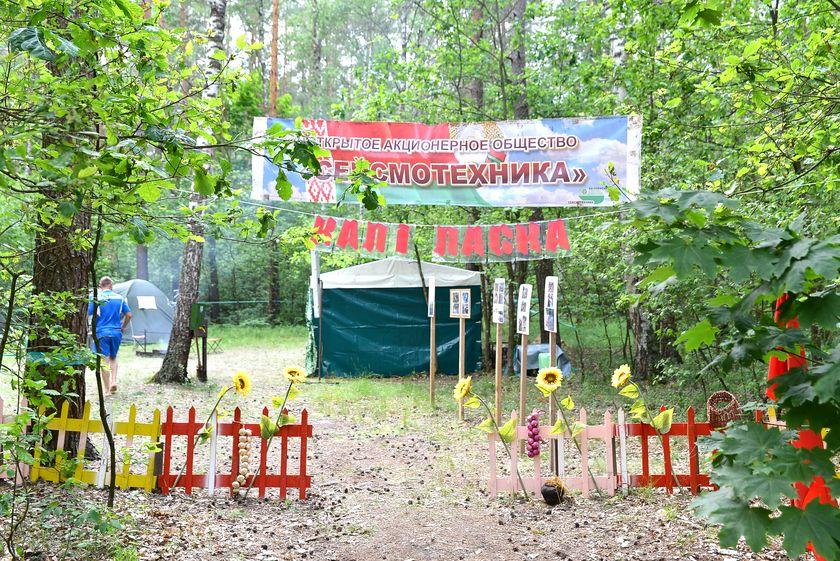 v-les-za-otkryti…pastu-dlya-slona33