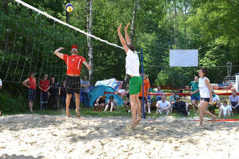 v-les-za-otkryti…pastu-dlya-slona37