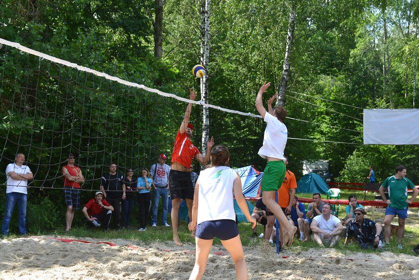 v-les-za-otkryti…pastu-dlya-slona39