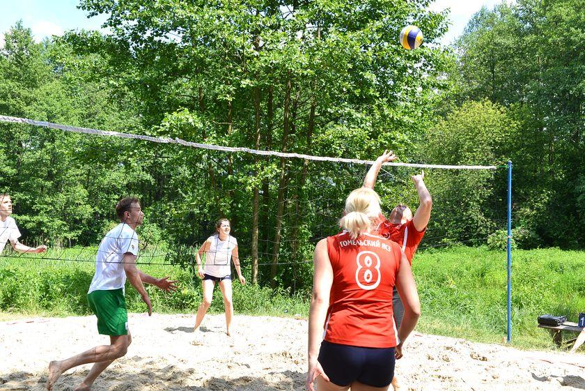 v-les-za-otkryti…pastu-dlya-slona40