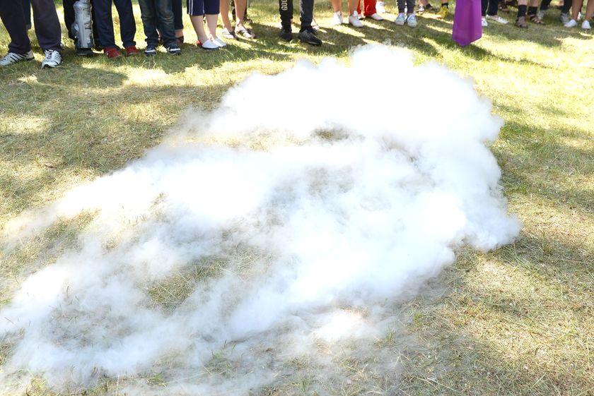 v-les-za-otkryti…pastu-dlya-slona51