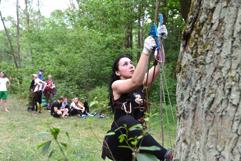 v-les-za-otkryti…pastu-dlya-slona9