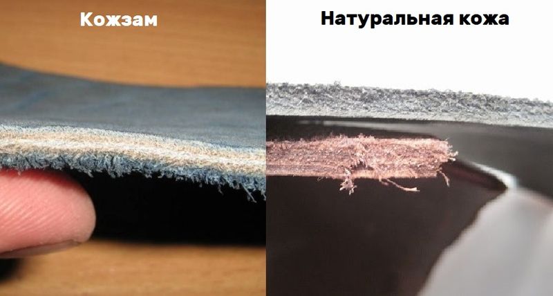 Разница на срезе кожесаменителя и кожи