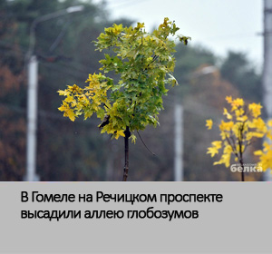 глобозумов