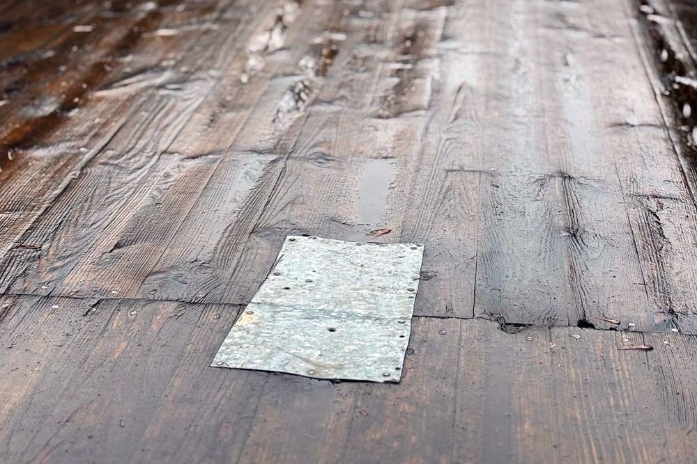 мост в гомельском парке