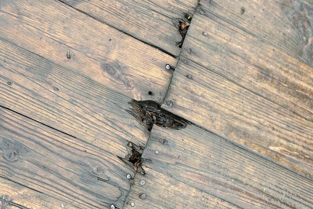 мост в гомельском парке