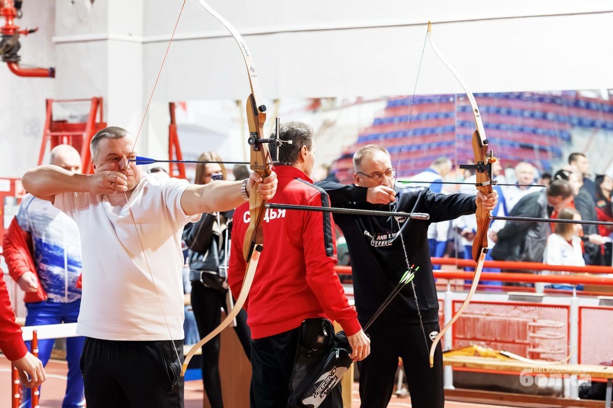 спортивный лук