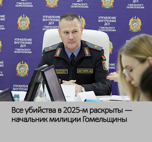 начальник милиции