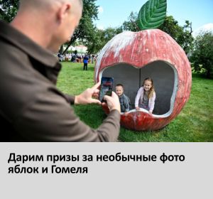 конкурс белки